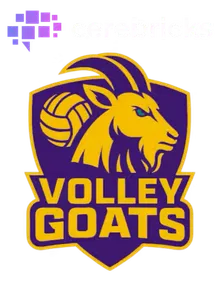 Logo der cerebricks VOLLEY GOATS Mitteldeutschland